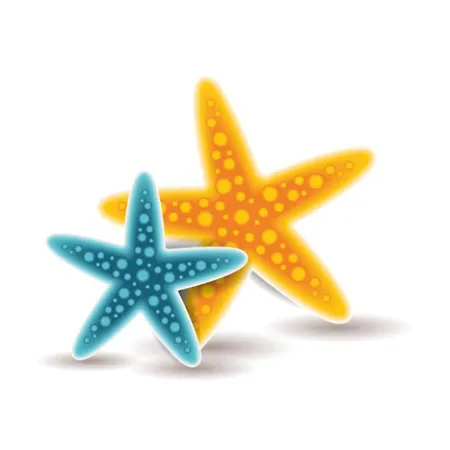 Quinta Dos Arcos - Viva Local * Alvor